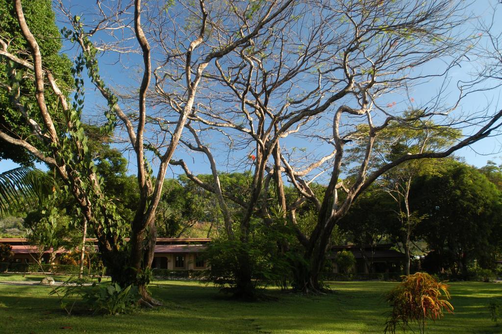 Jaco Hotel Docelunas ภายนอก รูปภาพ